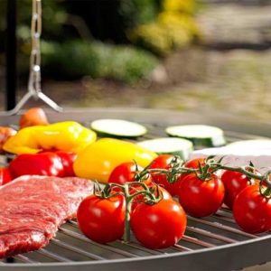 Schwenkgrill Venedig DN 50-70 cm mit Feuerschale Rügen 38