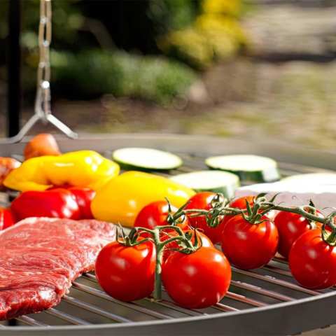 Schwenkgrill Venedig DN 50-70 cm mit Feuerschale Rügen 38